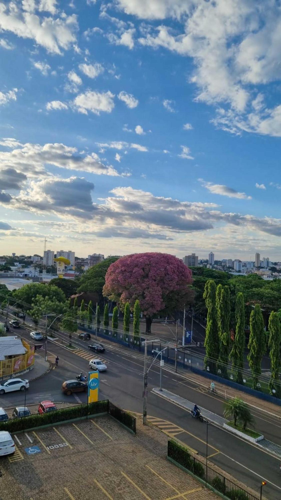 Hotel Golden Park Uberaba By Nacional Inn Pokój zdjęcie